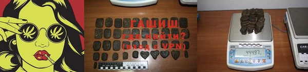 индика Никольск