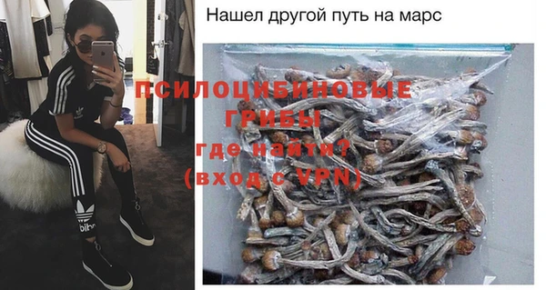дживик Сосновка