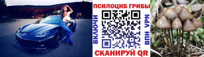Галлюциногенные грибы Psilocybe  Купить  Верхотурье 